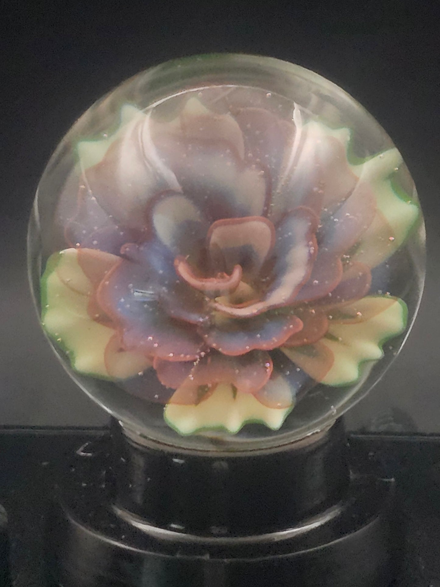Meta-Terrania & Sunset Floral Marble