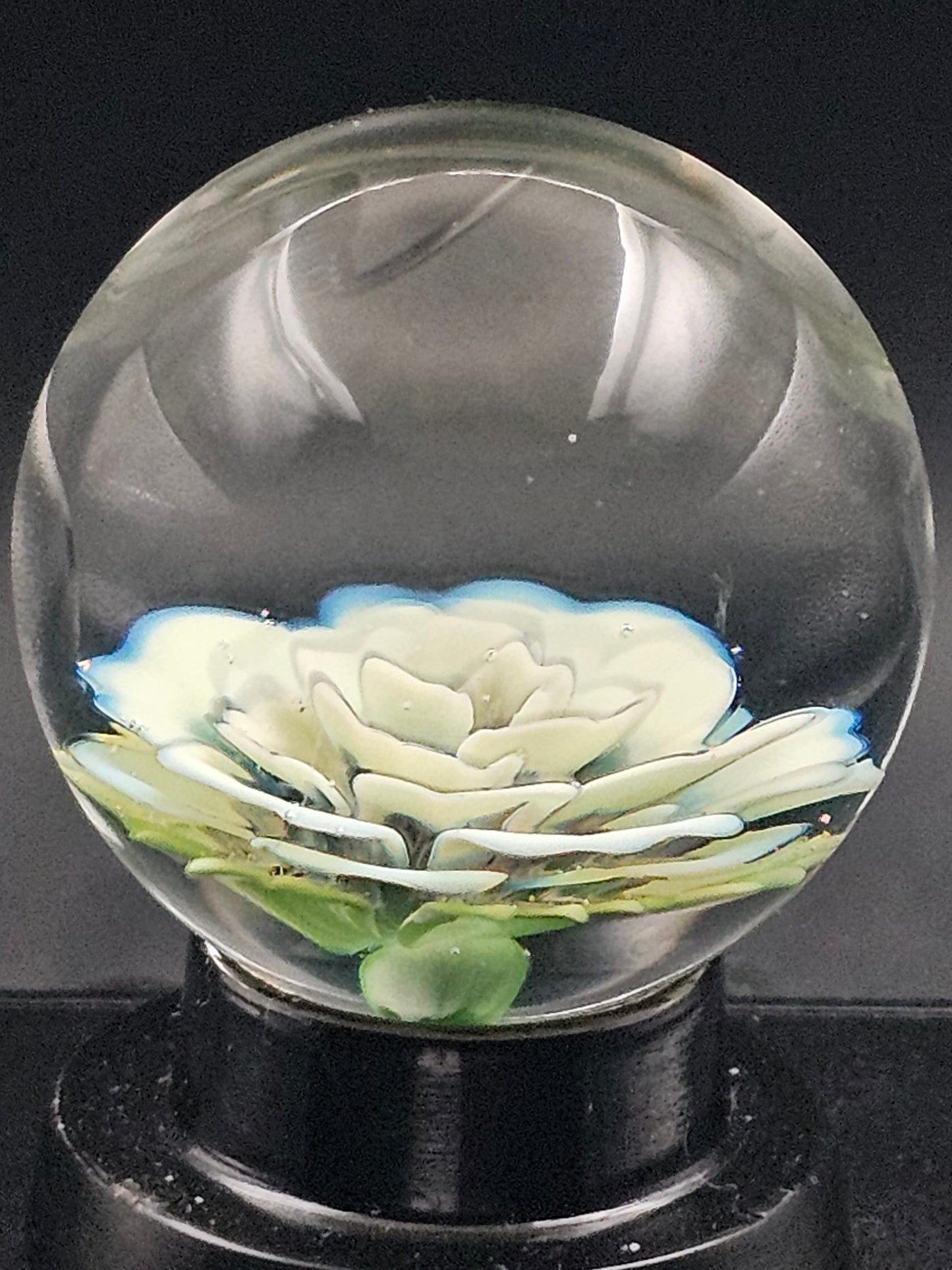 Dense Slyme & Grape Ape Floral Marble