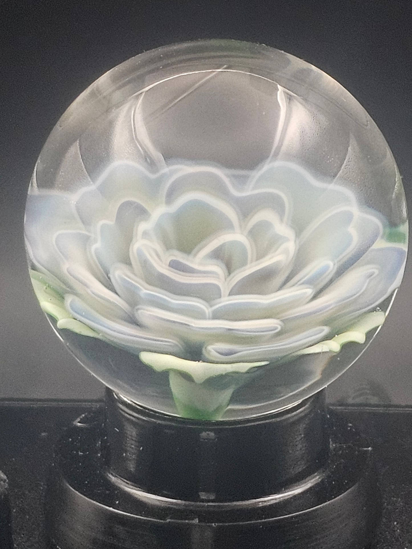Butterscotch & Turbo Cobalt Floral Floral Marble